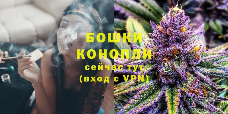 Бошки Шишки OG Kush  Баксан 